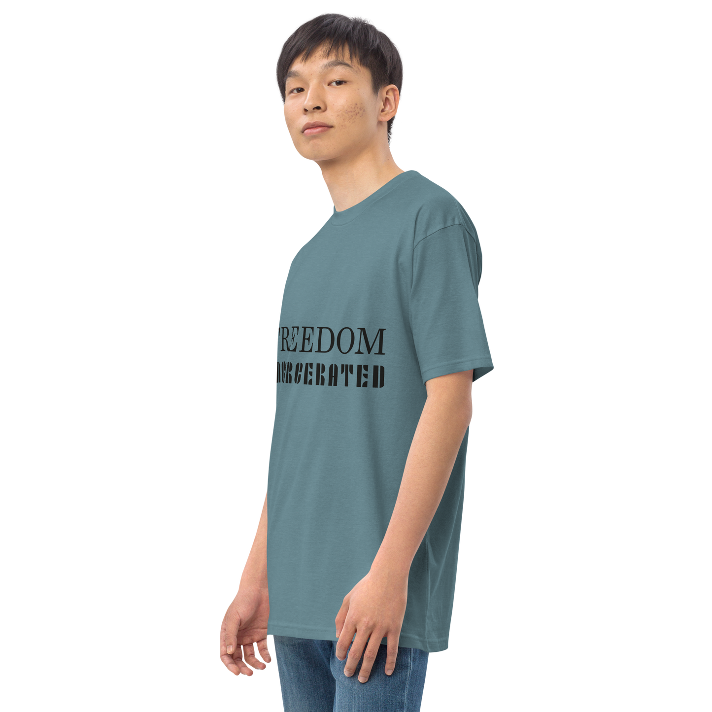 Men’s premium heavyweight tee Freedom Incarcerated