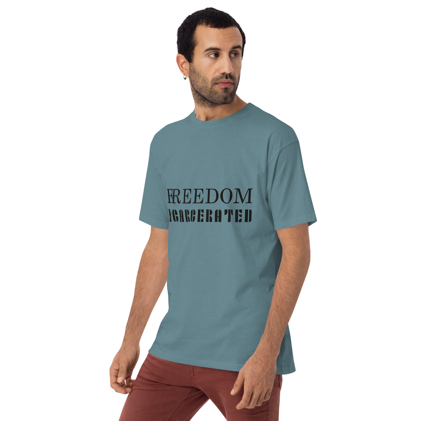 Men’s premium heavyweight tee Freedom Incarcerated