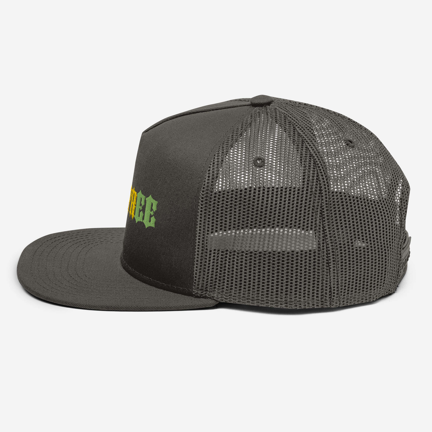 Mesh Back Snapback